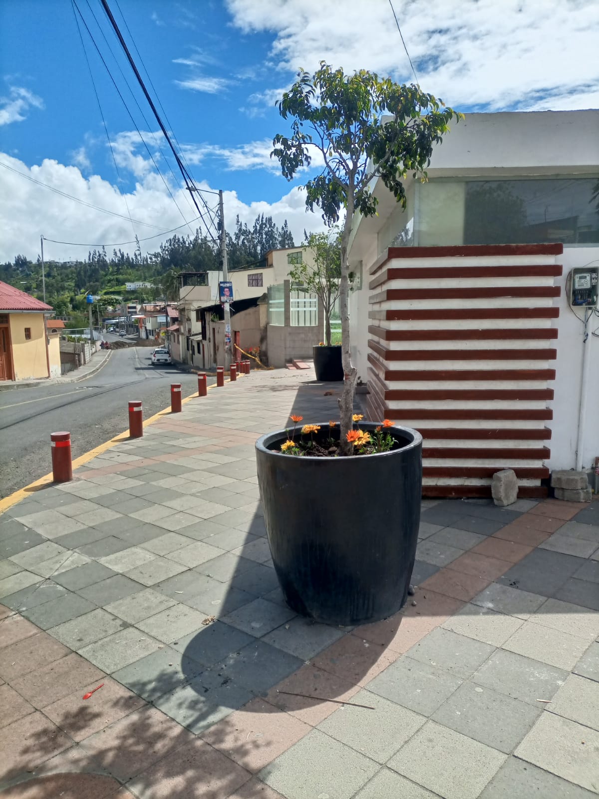 ORNATO DEL CENTRO PARROQUIAL DE PICAIHUA